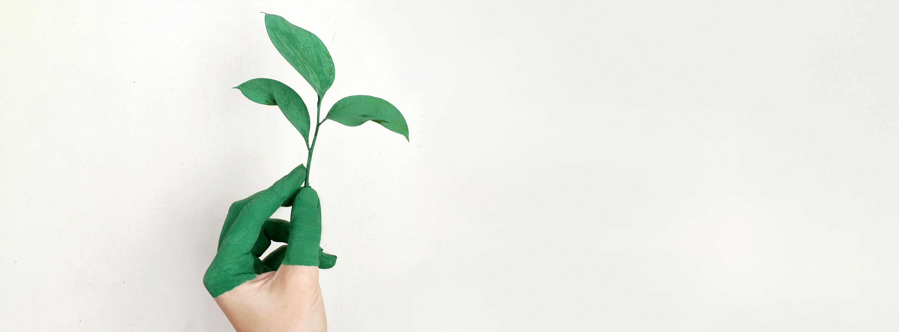 Diákok a fenntarthatóságról kutatás sorozat